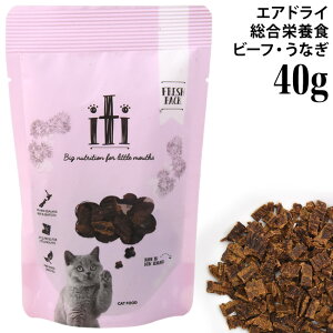 iti CeB Lbg r[t&C[ (Ȃ) fBi[ p40g (15149) GAhCt[h