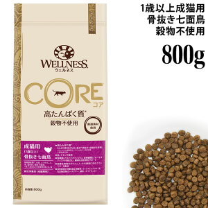 �E�F���l�X�R�A ���L�p (1�Έȏ�) ���������ʒ� 800g (51432) Wellness �����h�{�H ������ς��� �����s�g�p �O���C���t���[ �h���C�t�[�h