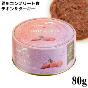 etFX TerraFelis }`veCV[Y `L^[L[ 80g (09621) Lp EFbgt[h ʋl