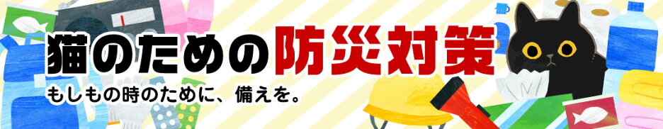 猫のための防災対策