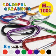 カラビナ 8カラーズ Mサイズ 【1色100個セット商品】 選べるカラー 推し活 ノベルティ 名入れ対応 アウト…