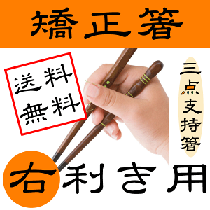 子供用 矯正箸の人気商品 通販 価格比較 価格 Com