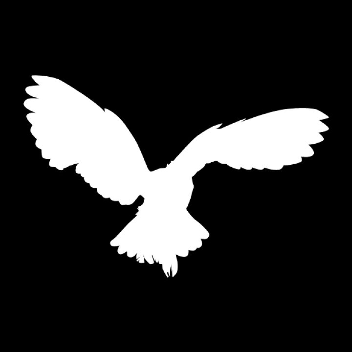 楽天市場 ステッカー シルエットステッカーでオシャレに フクロウ G 選べるカラー 飛んでいるふくろう 転写ステッカー カッティングステッカーデカール防水 ステッカー アクリルプレート パーテーション 装飾 デコ 窓 ガラス 車 スケボー メール便送料無料 楽天市場 ステッカー シルエットステッカーでオシャレに フクロウ G 選べるカラー 飛んでいるふくろう 転写ステッカー カッティングステッカーデカール防水 ステッカー アクリルプレート パーテーション 装飾 デコ 窓 ガラス 車 スケボー メール便送料無料