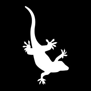 VGbgXebJ[ŃIVɁIyVGbgXebJ[z_EyIׂJ[z@ォ猩/]ʃXebJ[/JbeBOXebJ[fJ[h/ANv[g/p