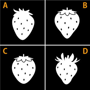 yXebJ[zC`S  IׂTCYEJ[ Ԃ̃hXAbv X̏t 킢 t[c/XebJ[/XebJ[/ANv[g/p[e[V//K