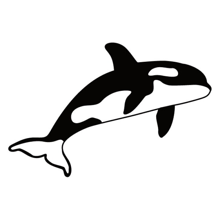 楽天市場 ステッカー シャチa 選べるサイズ カラー かっこいいシャチ 魚 海洋生物 車のドレスアップに ステッカー おしゃれステッカー アクリルプレート パーテーション 車 ガラス 窓 スケボー 装飾 デコ メール便送料無料 マミーショップ
