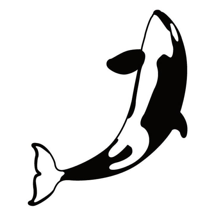 楽天市場 ステッカー シャチb 選べるサイズ カラー ジャンプしているシャチ 背面飛び 魚 海洋生物 車のドレスアップに ステッカー おしゃれステッカー アクリルプレート パーテーション 車 ガラス 窓 スケボー かっこいい 装飾 デコ メール便送料無料 マミーショップ 楽天市場 ステッカー シャチb 選べるサイズ カラー ジャンプしているシャチ 背面飛び 魚 海洋生物 車のドレスアップに ステッカー おしゃれステッカー アクリルプレート パーテーション 車 ガラス 窓 スケボー かっこいい 装飾 デコ メール便送料無料 マミーショップ