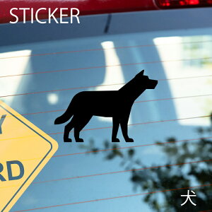 JbeBOV[g IׂTCYƃJ[ ό󐫃V[ yDIYIWi|CgɍœKz h XebJ[/XebJ[/ANv[g/p[e[V//KX//