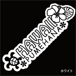 IVɂ킢yԁEoCNE{[hɁIzIWinCAXebJ[+nCrXJX&zk+STCYyJ[10ށzB/T[t{[hXebJ[/Xm[{[hXebJ[/