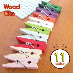 EbhNbv MTCY 50 IׂJ[ ؐNbv nhChޗ ʐ^Nbv EFfBO  [ G݉