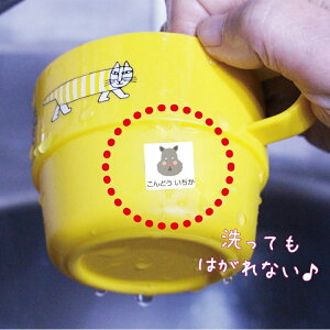 OV[yCXgz100 B5 l[V[/IׂCXg/IׂtHg/ϐ/h/{/킢/w//j̎q/̎q//