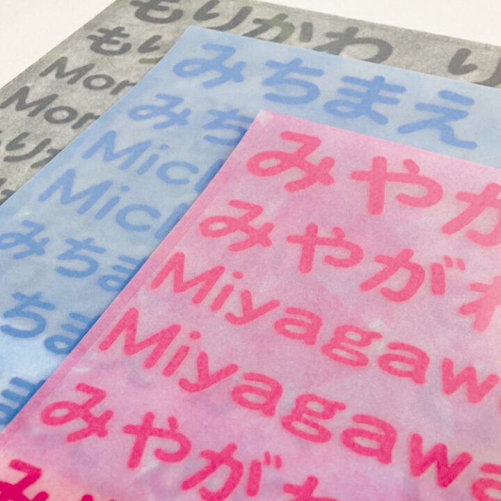 フロッキーネーム 大中小シート 2色セット イラスト くつしたフロッキー ひらがなローマ字 お名前アイロンシール なめれるフロッキー