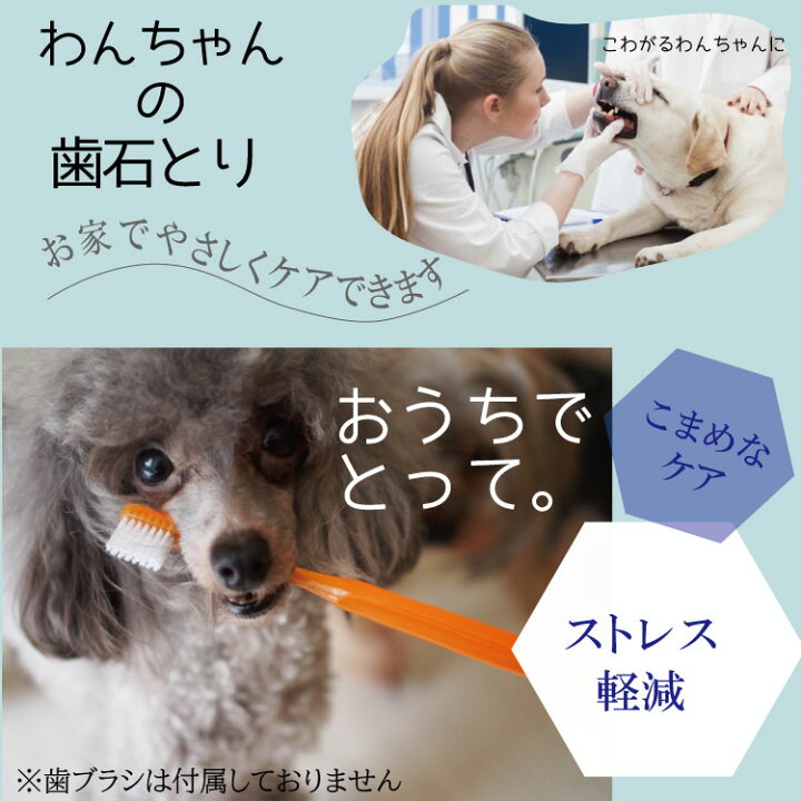 楽天市場 セール 愛犬スケラー 先細 平型 2本セット 犬用歯石とり 歯の汚れとり スケーラー ドッグデンタルケア わんちゃん 歯石 マミーショップ