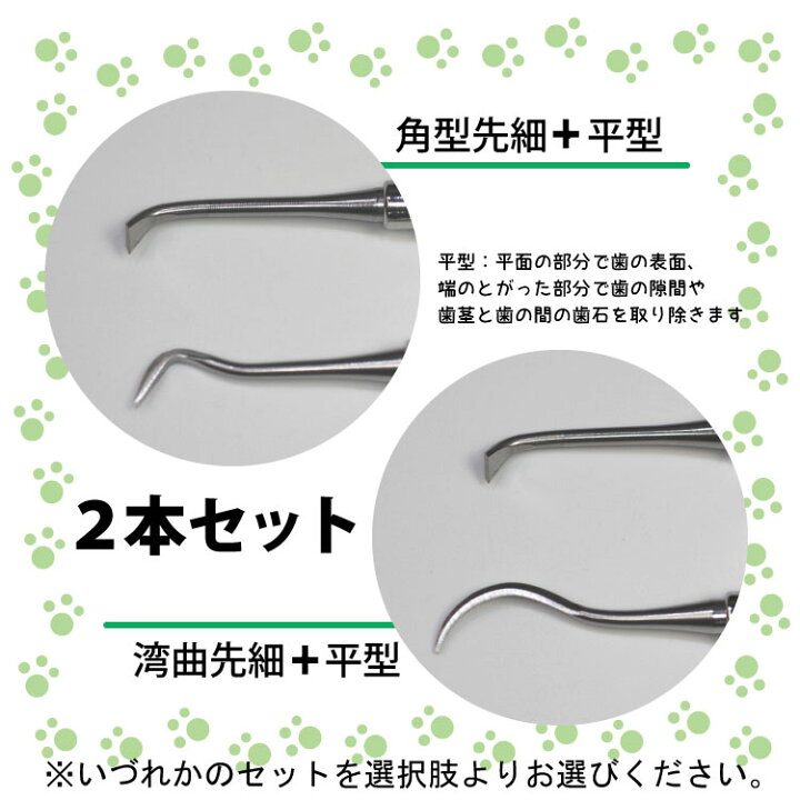 楽天市場 セール 愛犬スケラー 先細 平型 2本セット 犬用歯石とり 歯の汚れとり スケーラー ドッグデンタルケア わんちゃん 歯石 マミーショップ