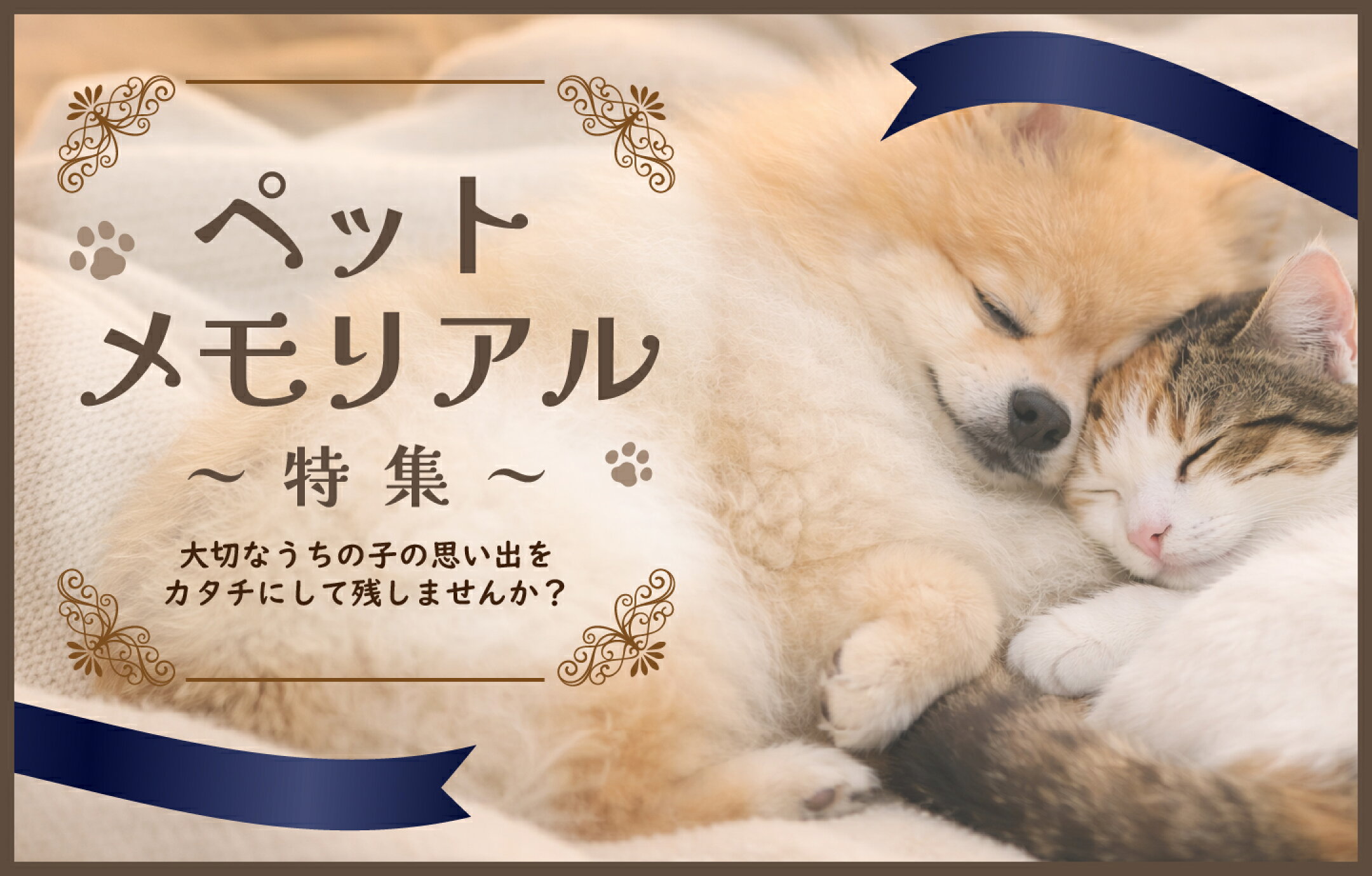 ペットメモリアル特集