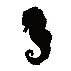 XebJ[ ^cmIgVS Cn  N[/XebJ[/ANv[g/p[e[V//KX///fR/y[֑z