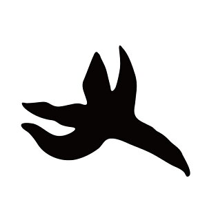 XebJ[ qgf  N[/XebJ[/ANv[g/p[e[V//KX///fR/y[֑z