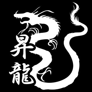 S}[NXebJ[IyԂɁIoCNɁIv[gɁzfJ[XebJ[STCYyJ[10ށzԃXebJ[gbN/hS/oCNXebJ[/XP[g{[h/