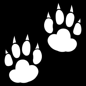 ~jՃXebJ[E쌢̓yJ[10ށz Chȓ/B/LY/LYB/ԃXebJ[/T[tBXebJ[/h/XebJ[T[tB/XP{[/]ʃXebJ[ [