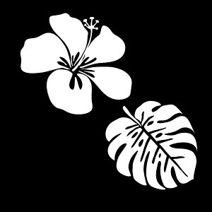 Vvɂ킢yԂoCNAɂsb^IznCA nCrXJX t |CgfJ[XebJ[/B/LY/LYB/킢//JCC/h/