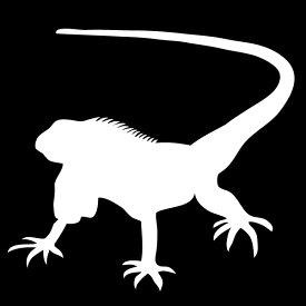 楽天市場 ステッカー ヒョウモントカゲモドキの通販