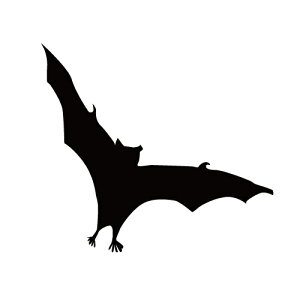 XebJ[ ͂΂RE REC nRE obg} nEB JbRCC N[/XebJ[/ANv[g/p[e[V//KX///fR/XP{[/