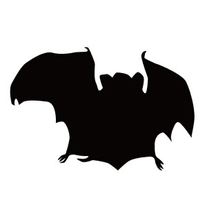 XebJ[ ͂΂REE obh} nEB/XebJ[/ANv[g/p[e[V//KX///fR/XP{[//y[֑z