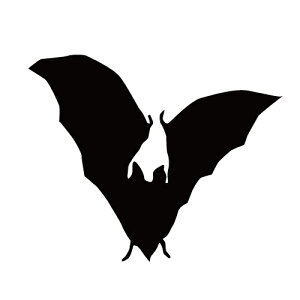 XebJ[ REJ ͂΂RE ЊdRE obg} nEB  N[/XebJ[/ANv[g/p[e[V//KX///fR/XP{