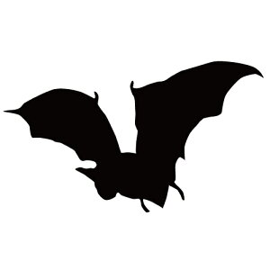 XebJ[ REP ͂΂RE _RE obg} nEB  N[/XebJ[/ANv[g/p[e[V//KX///fR/XP{[/