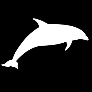 XebJ[ CJA htB C̐/XebJ[/ANv[g/p[e[V//KX///fR/y[֑z