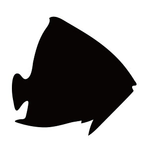 XebJ[ GWFtBbV Mы A}] S[f}[u  N[/XebJ[/ANv[g/p[e[V//KX///fR/y[֑