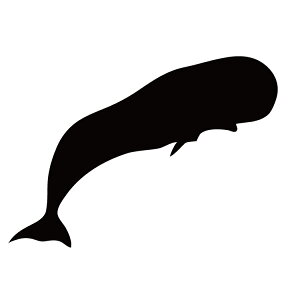 XebJ[ }bRENW  NW  N[/XebJ[/ANv[g/p[e[V//KX///fR/y[֑z