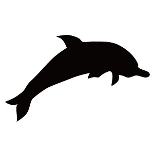 XebJ[ CJ htB  N[/XebJ[/ANv[g/p[e[V//KX///fR/y[֑z