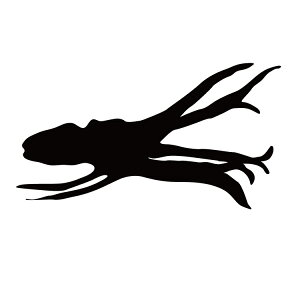 XebJ[ CJ X~CJ  N[/XebJ[/ANv[g/p[e[V//KX///fR/y[֑z