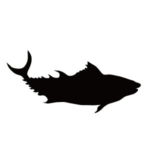 XebJ[ ܂  N[/XebJ[/ANv[g/p[e[V//KX///fR/y[֑z