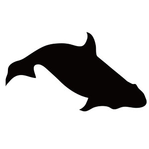 XebJ[   N[/XebJ[/ANv[g/p[e[V//KX///fR/y[֑z