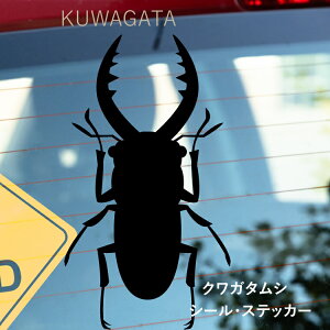 VGbgXebJ[ŃIVɁIyVGbgXebJ[zNK^/킪_EyIׂJ[z]ʃXebJ[/JbeBOXebJ[fJ[h/XebJ[/AN