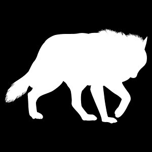 VGbgXebJ[ŃIVɁIyVGbgXebJ[zUTEEtyJ[10ށzXebJ[/T[tBXebJ[/h/B/V[ [[֑]