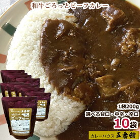 【10個セット】レトルト カレー レトルトカレー セット 甘口 中辛 辛口 カレーセット 大阪カレー 1人暮らし 仕送り品 欧風 牛カレー 和牛カレー ビーフカレー 高級レトルトカレー まとめ買い 詰め合わせ レトルトカレー ギフト ご当地 レトルトビーフカレー 美味しいカレー