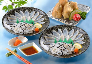 yNSK-50F2ZzӂEӂgiρjZbg@@ⓀցyE^sz