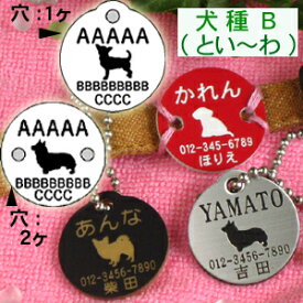 楽天市場 迷子札 犬 2穴の通販