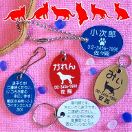 【両面刻印】迷子札・だ円・猫のイラスト入り　（メール便なら→）【送料無料】