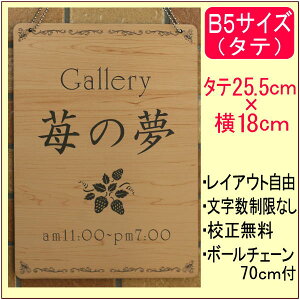 �݉����\�D�E�p�iB5�E�^�e���j�y���������z