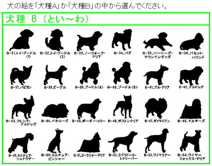 楽天市場 両面刻印 柔らか迷子札 丸 犬のイラスト入り メール便なら 送料無料 ごえんだま