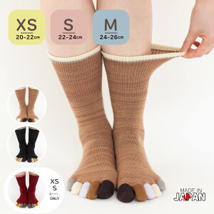 ���r���b�N�X �w��}���` �E�[���� �ܖ{�w�C�� �������� �ܖ{�w�\�b�N�X XS(20-22cm)S(22-24cm)M(24-26cm) �ܖ{�w�C�����f�B�[�X �y40883�z ������� �ܖ{�w 5�{�w�C�� 5�{�w�\�b�N�X ���f�B�[�X �����Y
