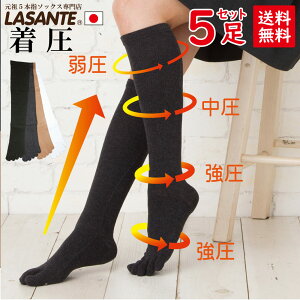 5g \bNX 5{w nC\bNX O  ނ݉ r\bNX 5{w\bNX 22-24cm/24-26cm/26-28cm  ܖ{w\bNX y88105pz 傫TCY i[X\bNX fB
