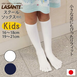 5{w\bNX qp x[VbN nC\bNX 16-18cm 19-21cm y10134z    XN[ ʊw XN[\bNX ܖ{w C LbY ₯ 񒣂肪 { ܖ{w\bNX X|[c