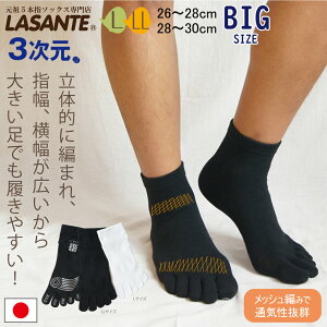 3X|[cx[VbNV[g 5{w\bNX Xx~ߕt L/LL 26-28cm 28-30cm ~ y30342z g[jO ܖ{w C Y { ܖ{wC ܖ{w\bNX 5{wC  j 