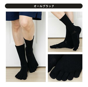 5{w\bNX X|[c ܖ{w\bNX Y fB[X  ~ 22-24cm, 24-26cm, 26-28cm S/M/L TbJ[ y9550z iK݌v \bNX tbgT tbg{[ Or[ Xx~ߕt 