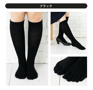 yVFׁIz\bNX fB[X 5{w\bNX nC\bNX Y  ނ݉ S(22-24cm)/M(24-26cm)/L(26-28cm) y8810z 傫TCY r Y C ܖ{w \bNX X